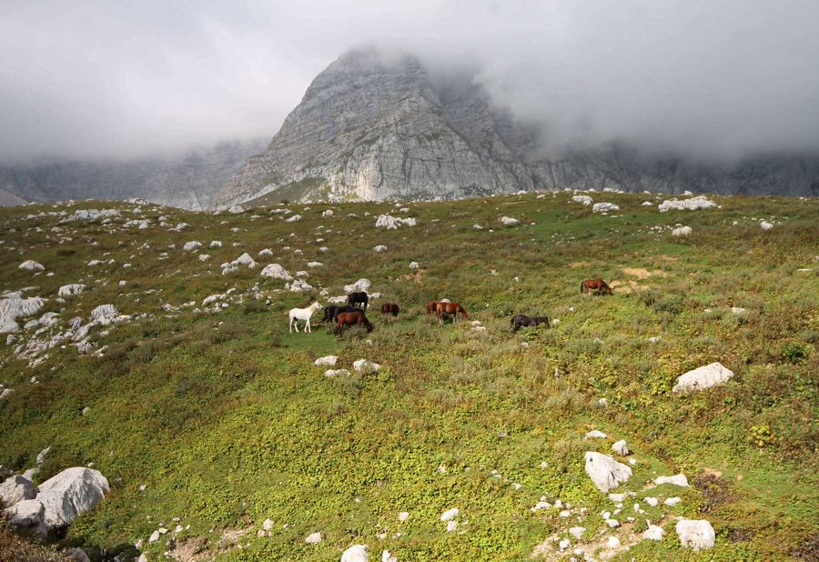 Новый маршрут по Адыгее подарит туристам  шашлыки, горы, рафтинг