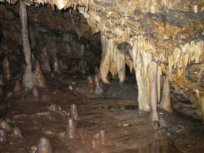 Пещера Заповедная